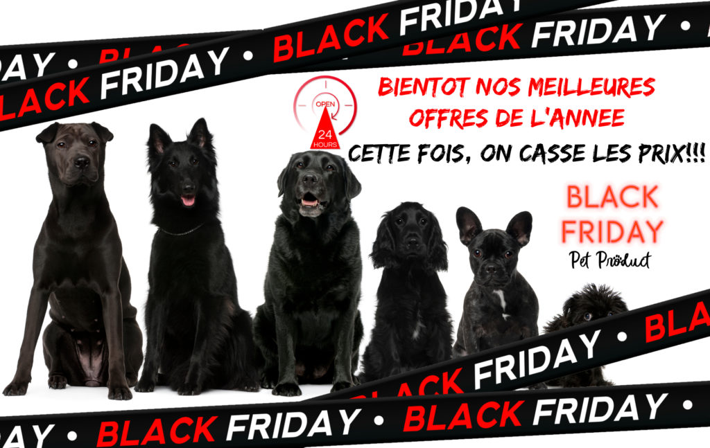 Black Friday PetProduct 2025