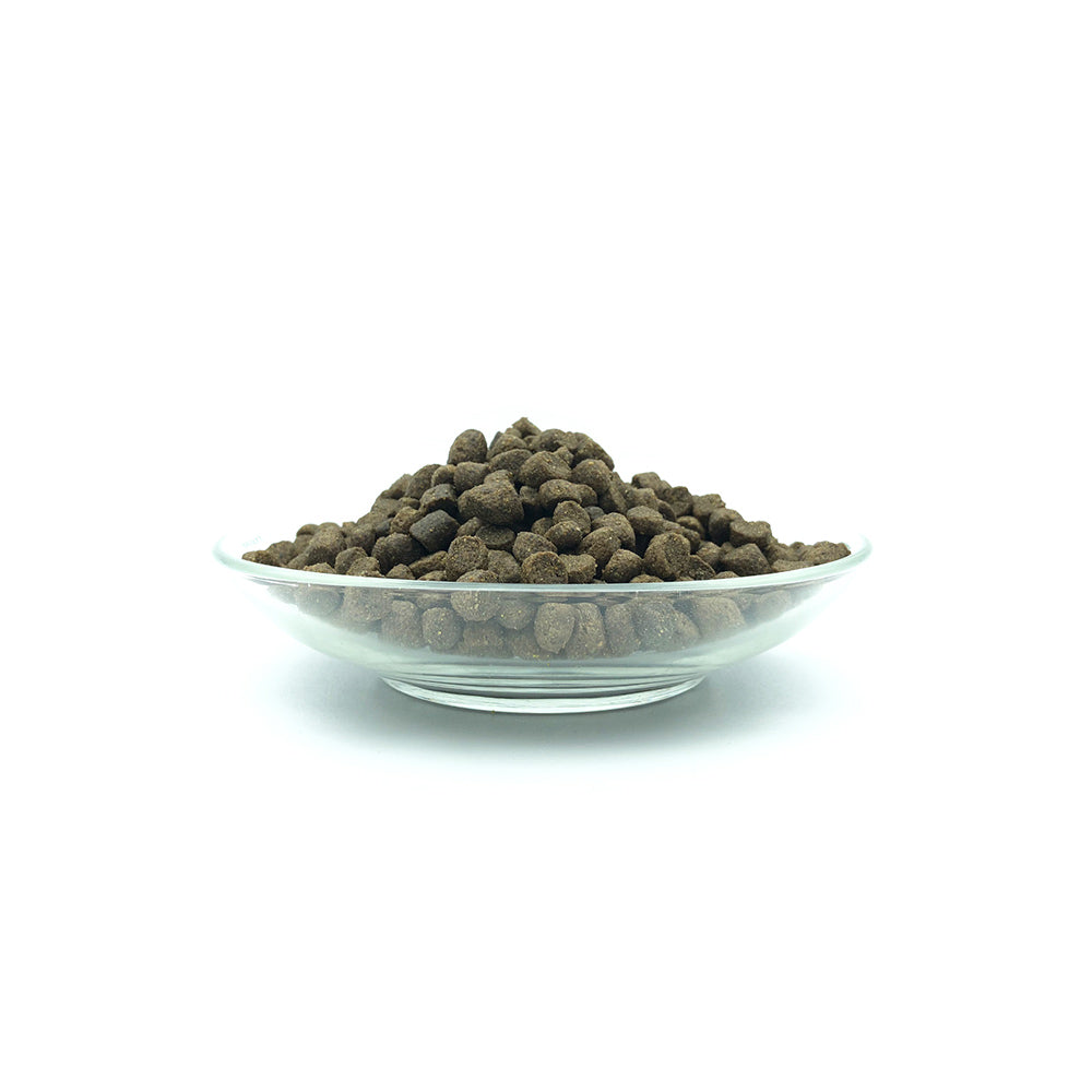 Bellfor Trockenfutter mit Insekten Landgut-Schmaus Junior – Image 2