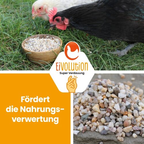 EiVolution Magenkiesel für Geflügel 2-4 mm: vorbeugend – Image 2